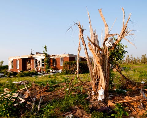 Wind Damage