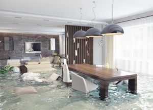 water damage restoration