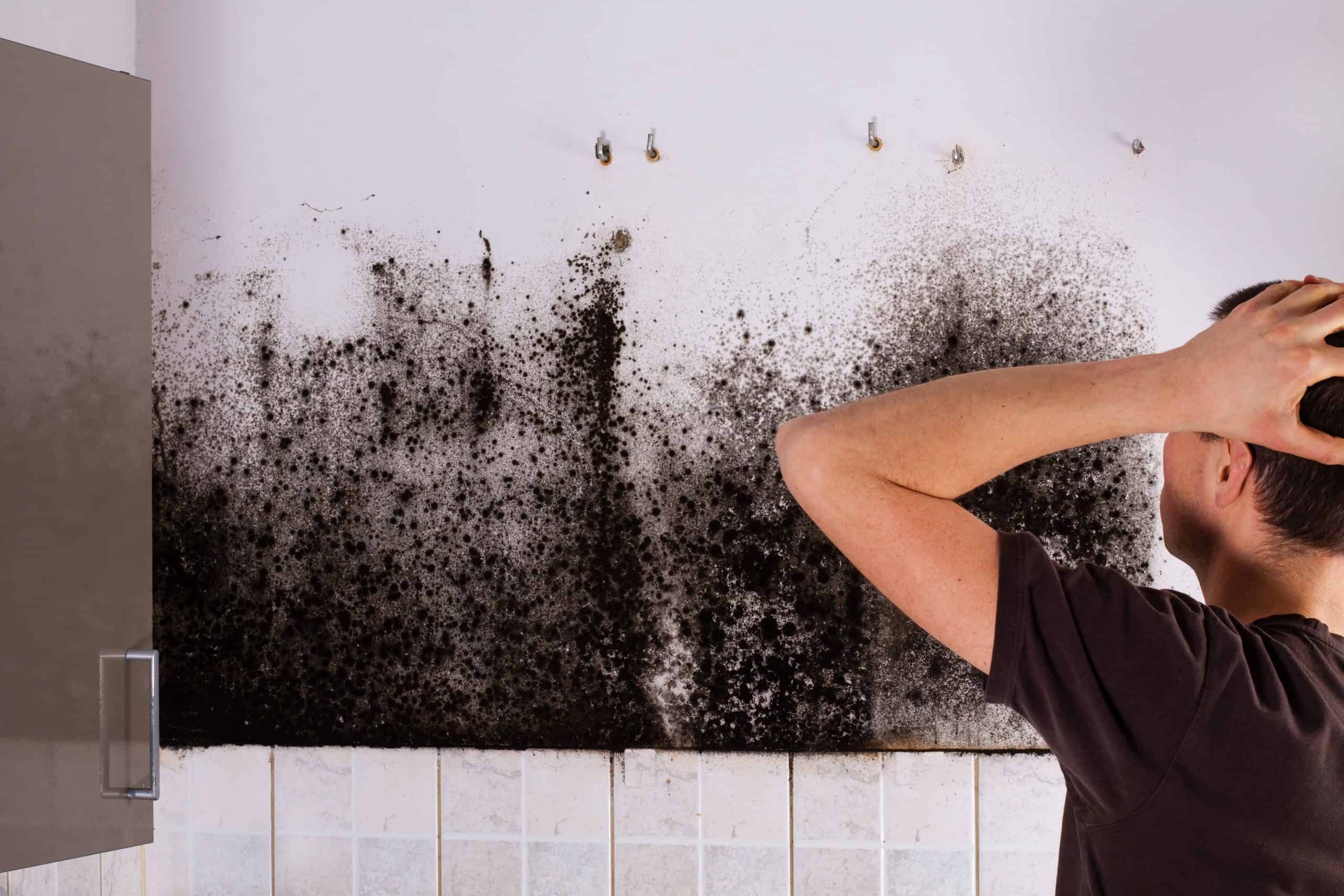 canton-water-damage-restoration-company explains mold and more