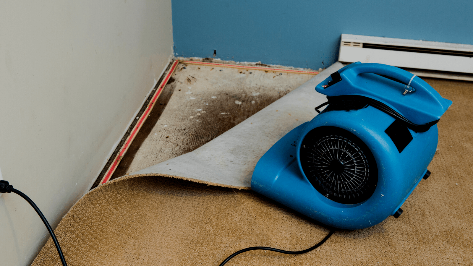 Water Damage Restoration